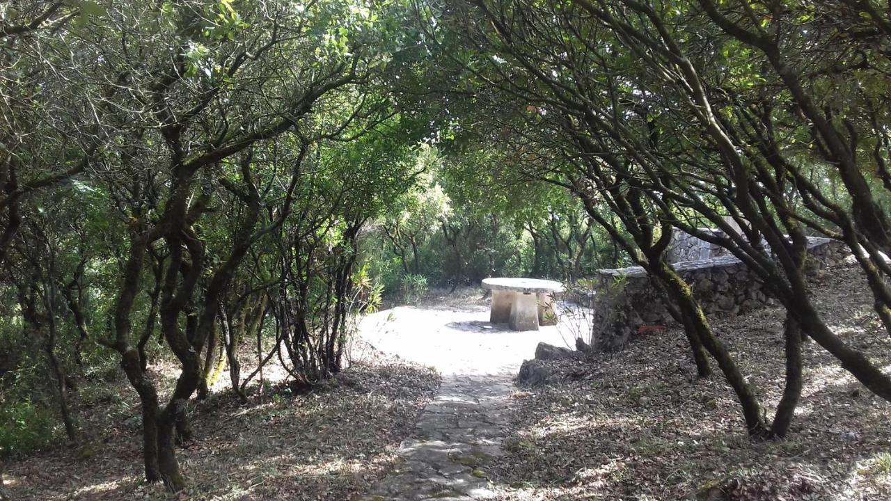 Cabeco Dos Tres Moinhos Villa Rio Maior Kültér fotó
